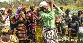 A Trieste torna la Festa della Poesia e della Letteratura - Trieste News
