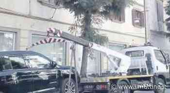 Giro di vite su corso Trieste, carri gru portano via le auto - ilmattino.it