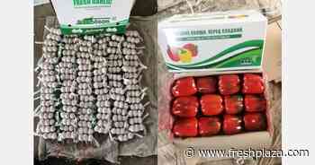 Transport embargo creates congestion in European harbors - FreshPlaza.com