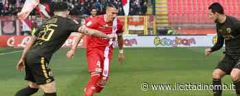 Calcio Serie B, LIVE di Monza-Vicenza 4-0: sì, “la vita l'è bela” per Stroppa - Il Cittadino di Monza e Brianza