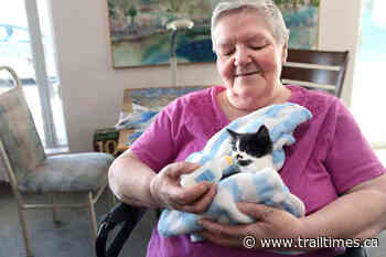 Grand Forks cat shelter needs new home, fast – Trail Daily Times - Trail Times