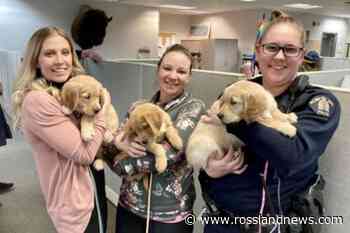Golden guests drop by the Greater Trail police station - Rossland News
