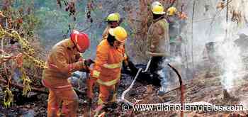 Trabajan en prevención de incendios en barrancas de Cuernavaca - Diario de Morelos