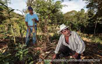 Alistan pruebas de aplicación para reducir quemas agropecuarias - El Sol de Cuernavaca