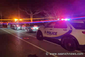 Speeding tickets, impaired stops top Oak Bay weekend traffic blitz - Saanich News