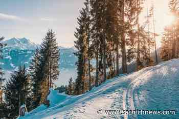 ’Tragic accident’ kills skier at Cypress Mountain Resort - Saanich News