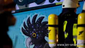 Kölner Zoo öffnet nach Brand in Regenwaldhaus