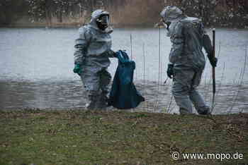 Ente tot: Verdächtige Substanz an Teich bei Hamburg gefunden - Mopo.de