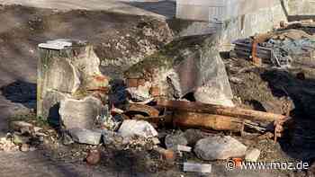 Bauen in der Uckermark: Kleine Wildhüter in Schwedt müssen länger auf neue Kita im Nationalpark warten - Märkische Onlinezeitung