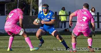 Andrea Lovotti lascerà le Zebre a fine stagione - Gazzetta di Parma