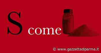 L'Abbecedario dei Musei del Cibo - S come sale - Gazzetta di Parma