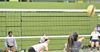 Sportler senden Hilferuf: Volleyballclub aus Königsbach sucht neue Spieler - Sport - Pforzheimer Zeitung
