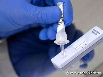 Inzidenz im Landkreis Stade weiter gesunken - Landkreis Stade - Tageblatt-online