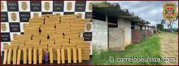 Homem é preso em Cotia por armazenar maconha em estábulos - Correio Paulista