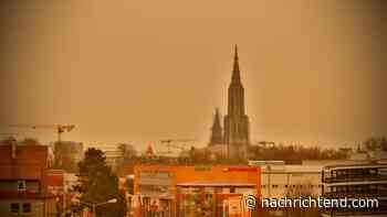 Ist der Lack Ihres Autos gefährdet? Beratung zur Autowäsche - nachrichtend.com