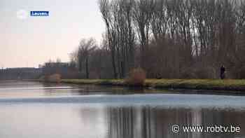 Stad Leuven wil tegen eind 2024 minsten 10.000 nieuwe bomen planten - ROB-tv