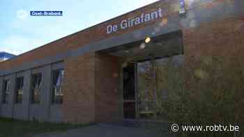 Kinderen en medewerkers van kinderdagverblijf De Girafant in Leuven krijgen dan toch preventieve behandeling tegen schurft - ROB-tv