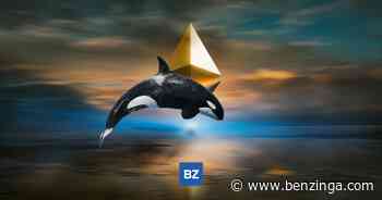 Crypto Whale Just Moved $242M Worth Of Ethereum (ETH) Off Binance - Benzinga