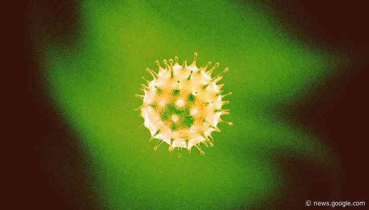 Long COVID symptoms: The untold symptoms no one’s talking about - Deseret News