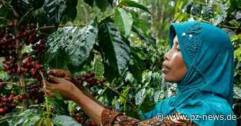 Kreis Calw setzt sich verstärkt für fairen Handel ein - Region - Pforzheimer Zeitung