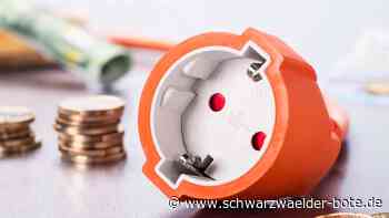 Energie-Ärger in Calw - Kein Importstopp: Warum wird Strom trotzdem teurer? - Schwarzwälder Bote