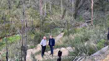 Popular Blue Mountains walking tracks reopens to visitors - Western Advocate