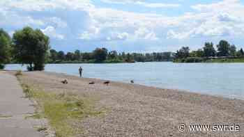 Strandbad Mannheim startet in Saison - SWR Aktuell