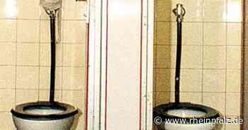 Hakenkreuz und bedrohlicher Schriftzug auf Schultoilettentür - Rheinpfalz.de