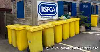 Cats dumped outside RSPCA branch in Coventry - Coventry Live