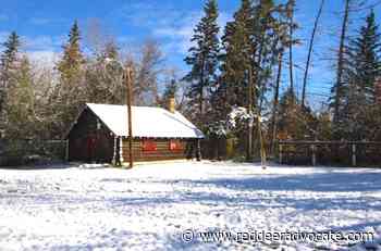 Red Deer’s historic scout hut too deteriorated to move, likely to be demolished: city official - Red Deer Advocate