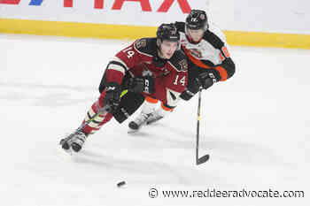 Red Deer Rebels maul Medicine Hat Tigers - Red Deer Advocate