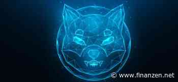 Shiba Inu kaufen - Tipps und Tricks zum SHIB-Handel