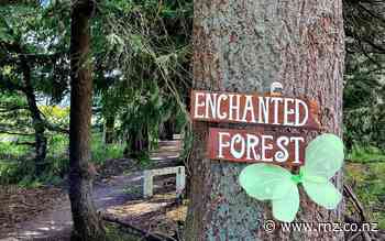 Enchanted forest facing axe: 'Storm in a fairy tea cup' - RNZ