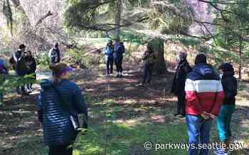 Forest Bathing - Increasing Community Wellness Through Greater Access to Greenspace - Parkways - Parkways Seattle Parks and Recreation