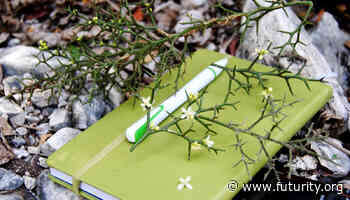 Team finds new plant in Dominican dry forest - Futurity: Research News