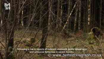 Tardree Forest: Increase of 'sexual shenanigans and antisocial behaviour' at County Antrim beauty spot - Belfast Telegraph