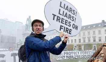 Activists vow to take EU to court to fight its forest biomass policies - Mongabay.com