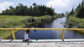 Boreal forest on the move as plane warms - CTV News