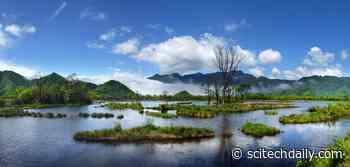 Tropical Methane Emissions Explain More Than 80% of Recent Changes in Global Atmospheric Methane Growth Rate