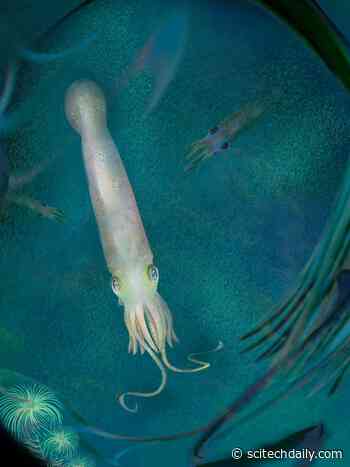 New Species of Extinct Vampire-Squid-Like Vampyropod Had 10 Functional Arms