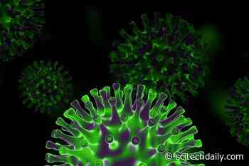 Analysis of SARS-CoV-2 Reinfection Risk Shows Omicron COVID Variant Evades Immunity From Prior Infection