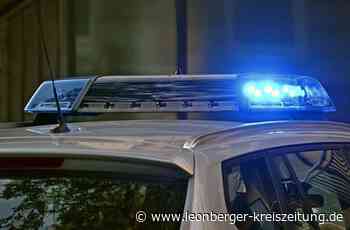 Diebstahl in Hemmingen - Geldbörse aus Auto gestohlen - Leonberger Kreiszeitung