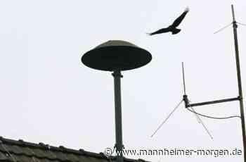 Warten auf Sirenen - Lampertheim - Nachrichten und Informationen - Mannheimer Morgen