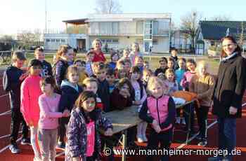 Leichtathleten freuen sich über Sportabzeichen - Mannheimer Morgen