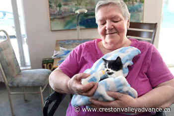 Grand Forks cat shelter needs new home, fast – Creston Valley Advance - Creston Valley Advance