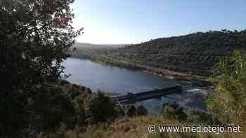 Abrantes | Câmara quer mini-hídrica no açude e investir na escada passa peixe (c/áudio) - Médio Tejo