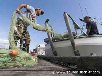 Two men face multiple 2021 Valdes Island fishing offences - Squamish Chief