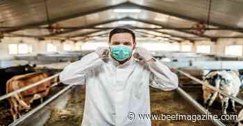 Johne’s Disease: How to keep it off the farm