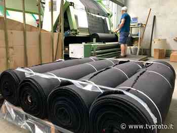 Demografia delle imprese: per il terzo anno consecutivo lo sviluppo resta fermo - tvprato.it