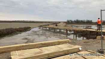 Frontignan : on commence à avoir une idée du nouveau profil des Aresquiers - Midi Libre